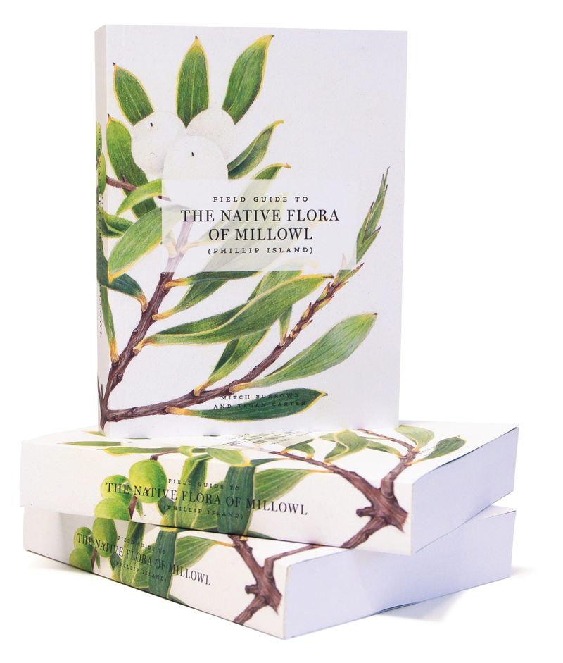 A celebration of Phillip Island's plants post image
