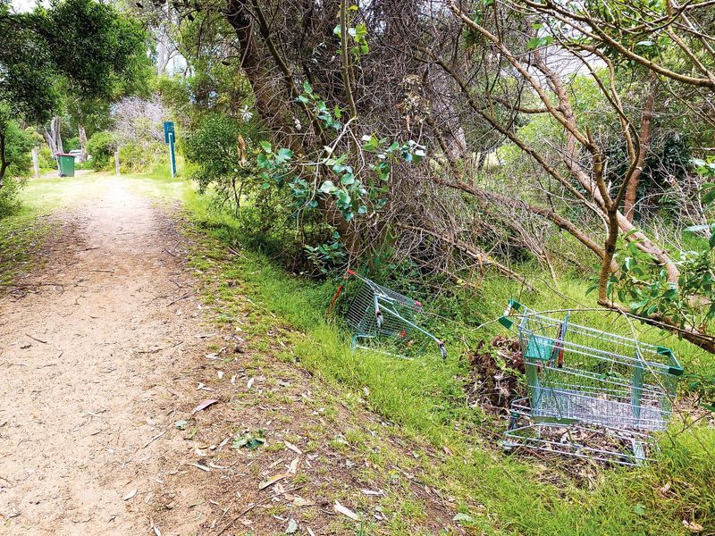 Schoolie trolley folly post image
