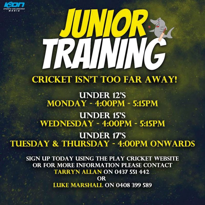 Cricket is about to begin! post image