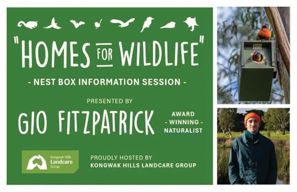 Homes for wildlife post image
