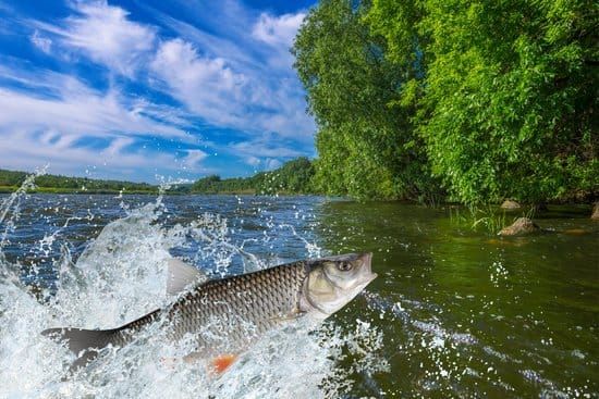 Around the Bay with Jim’s Bait and Tackle post image