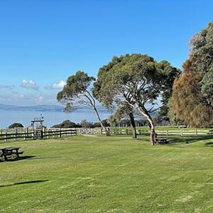 Churchill Island Walk post image