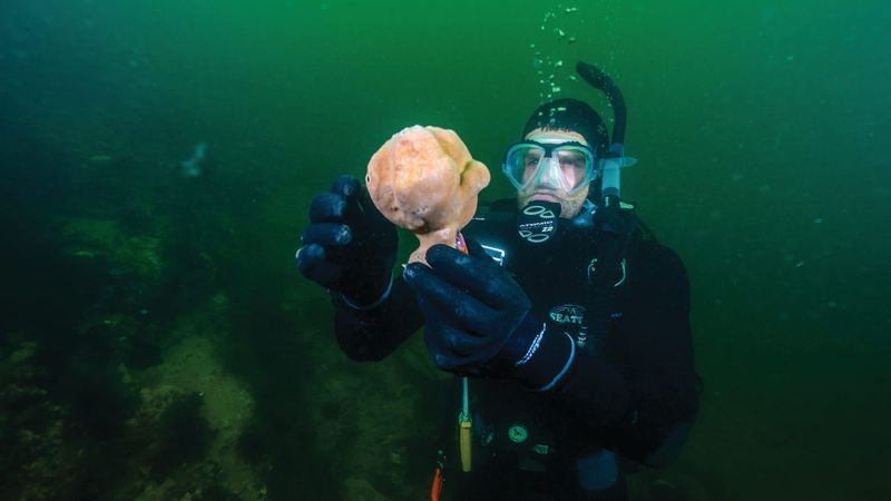 World-first in underwater science at Newhaven post image