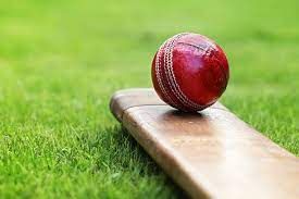 Come’n’Try cricket for girls post image