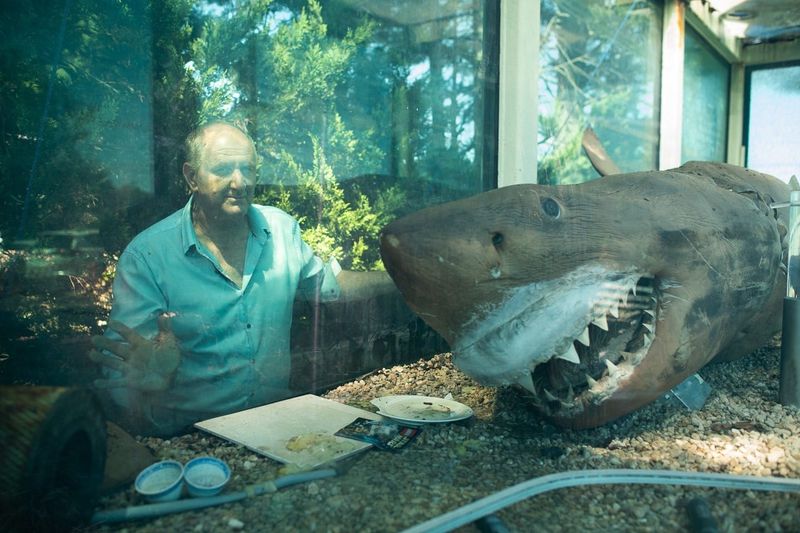 Rosie the Shark may finally get a new home post image