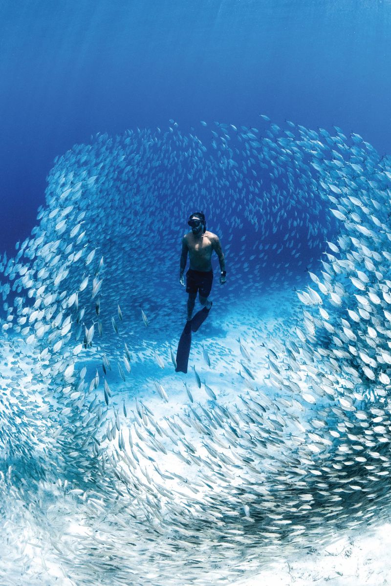 Immerse yourself in the Ocean Film Festival post image