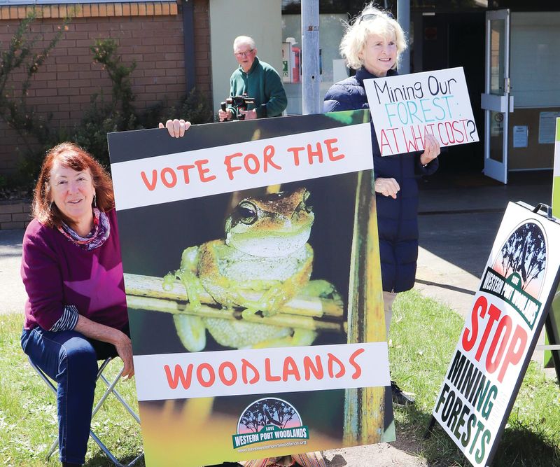 Candidates support forest protection, except Labor post image