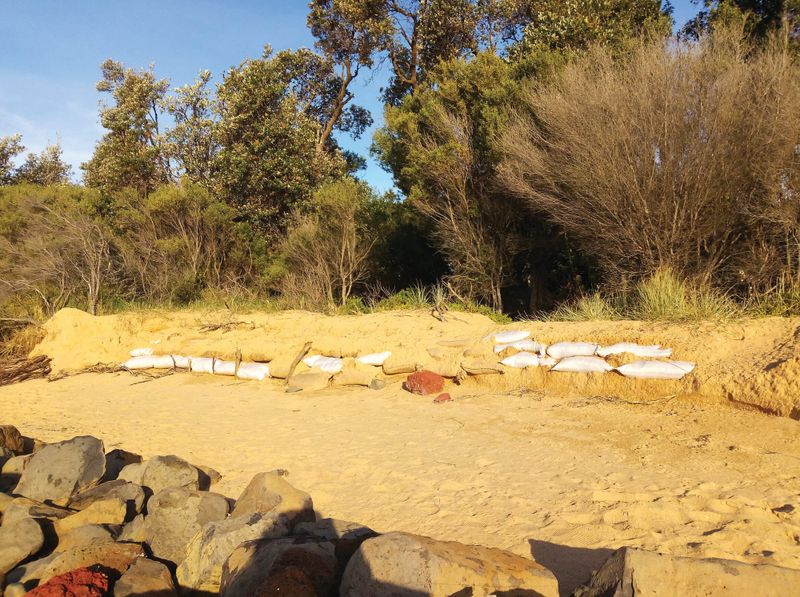 Desperate resident sandbags property post image