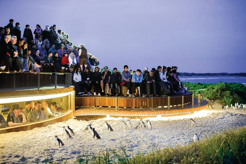 International tourists set to return to Nature Parks post image