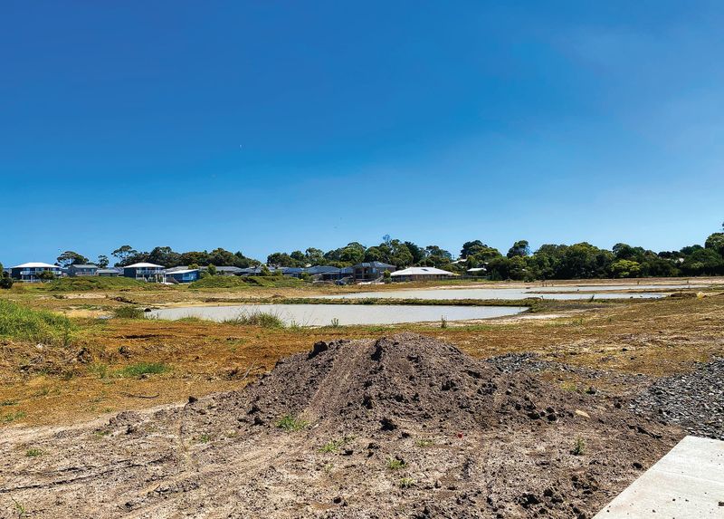 Painfully slow progress at Shoalhaven wetland post image
