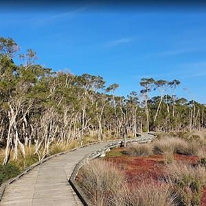 Rhyll Inlet & Conservation Walk post image