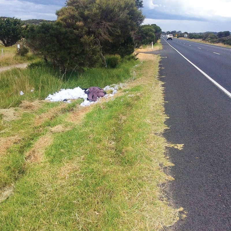 “Cowboy” slashing contractors post image