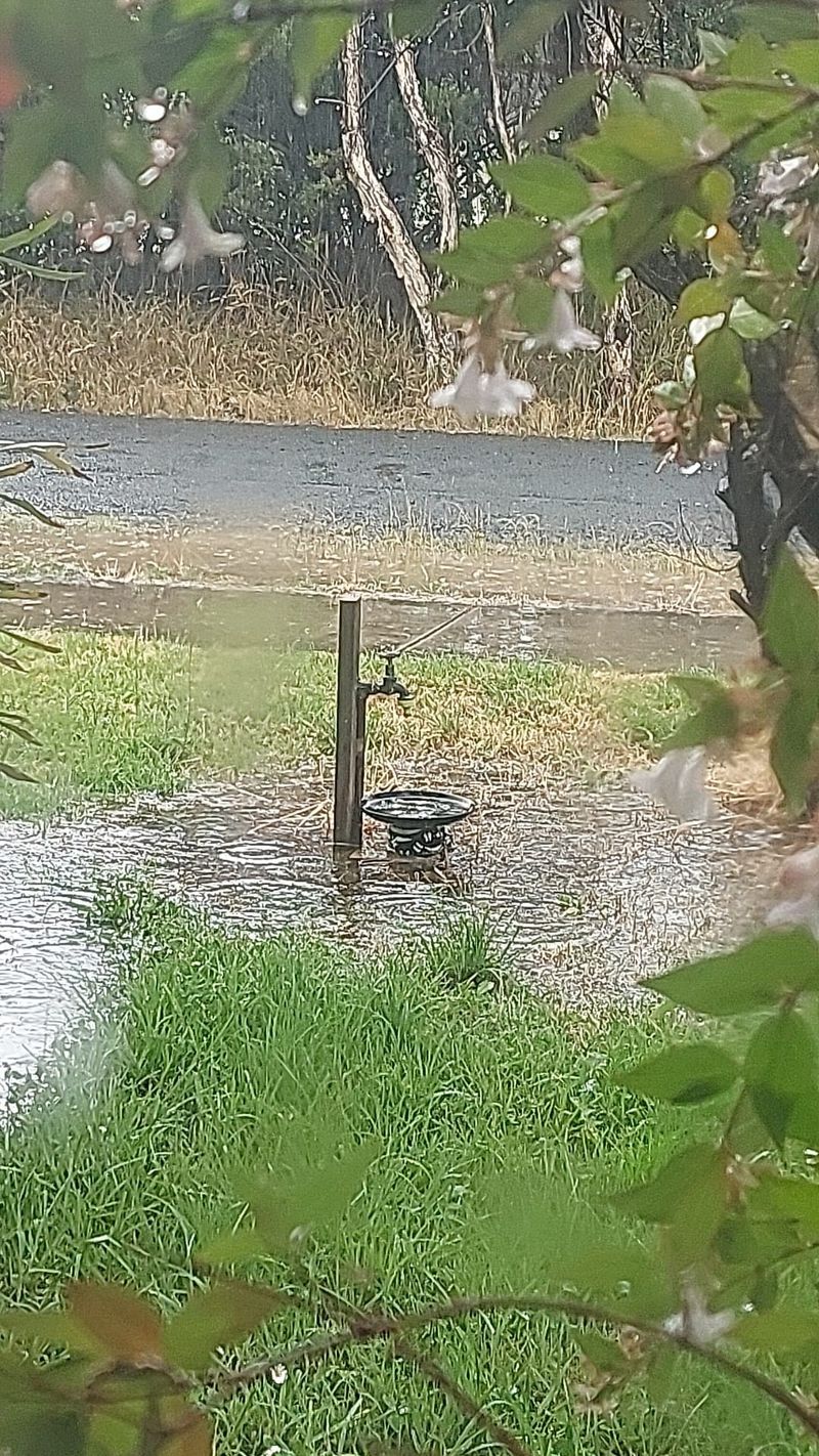Welcome rains drench island post image