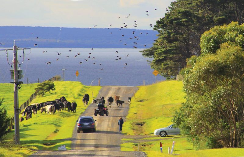 Rural tourism consultation extended post image