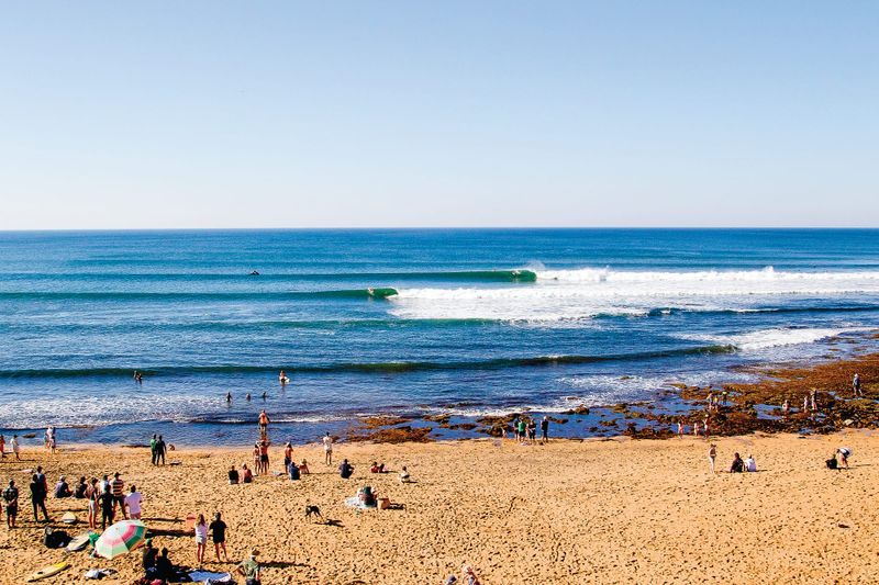 Island to host final round of Open Series post image