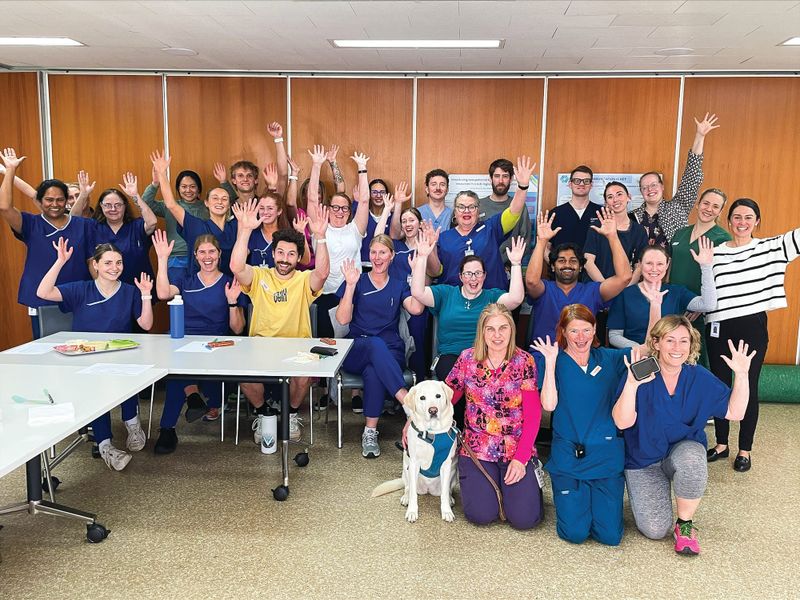 Spotlight on Allied Health professionals post image
