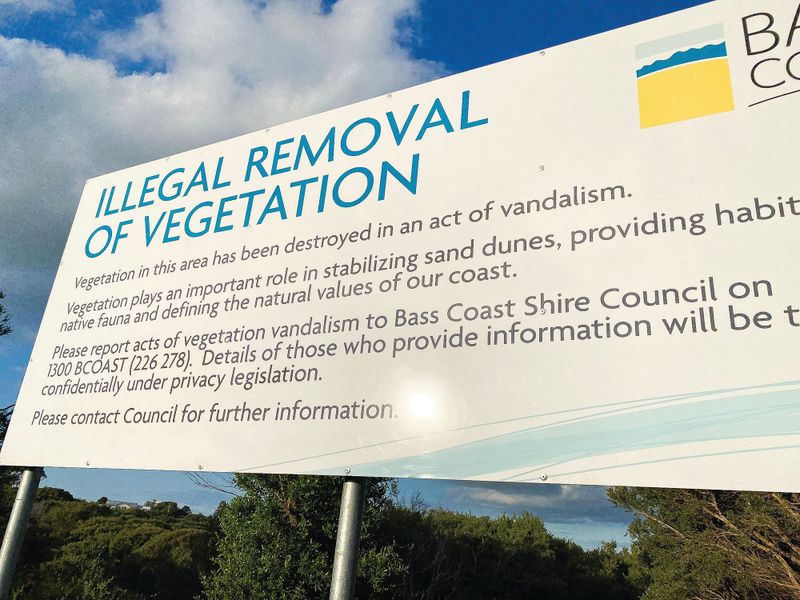 "Illegal" tree removal under investigation post image