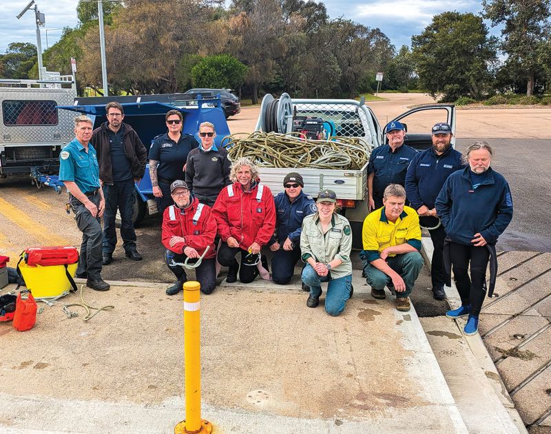 Whale freed off Gippsland post image