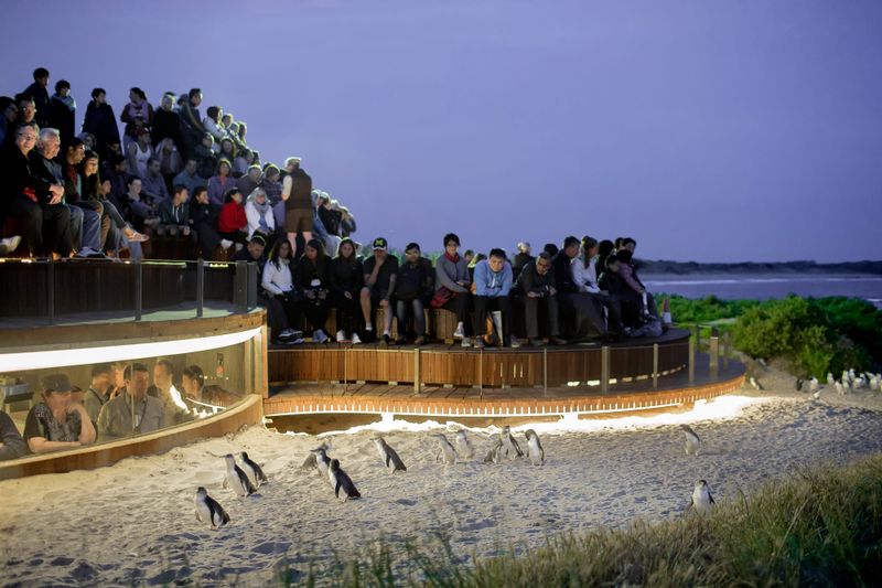 Tourism development first, then landscape protection: industry post image