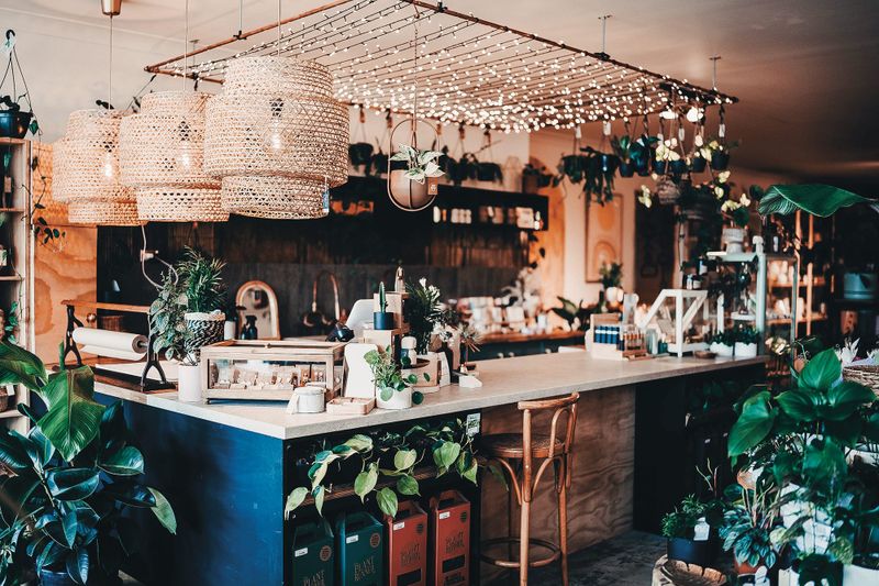 Newhaven plant shop helped to grow post image