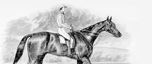 Melbourne Cup winner Wollomai post image