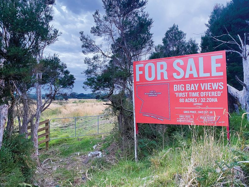 Buy Cowes’ farm for the environment: campaign post image