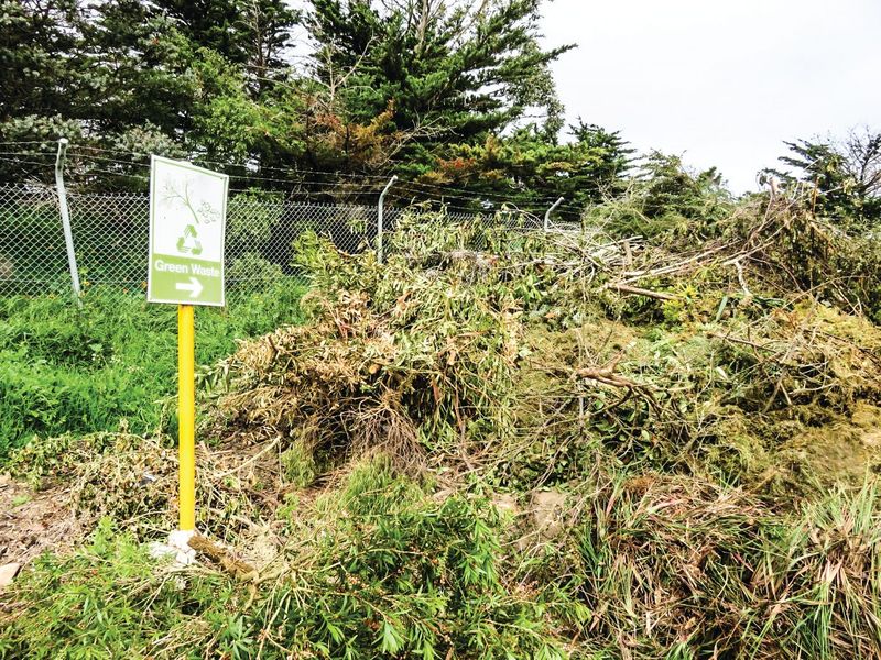 Free green waste disposal post image