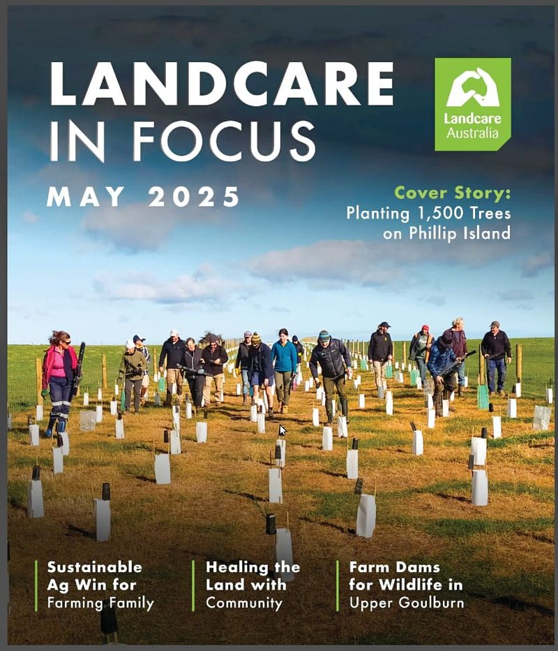 Tree planting makes national headlines post image