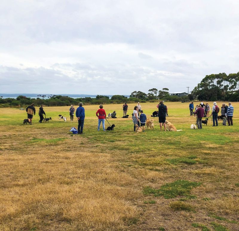Barks in the park at dog obedience day post image