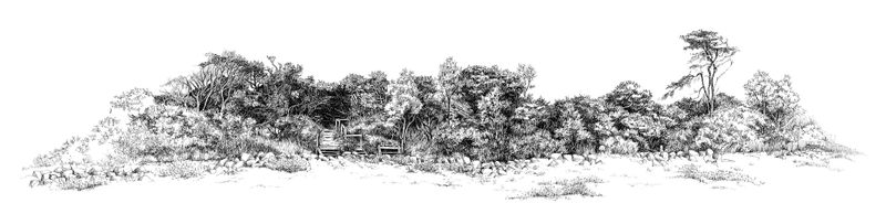 Island's shoreline on display post image