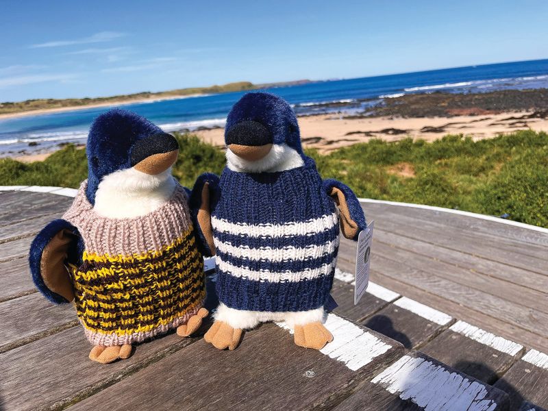Knitters needed for toy penguins post image