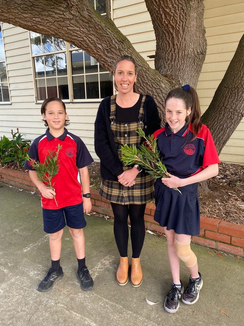 School falls silent for Remembrance Day post image