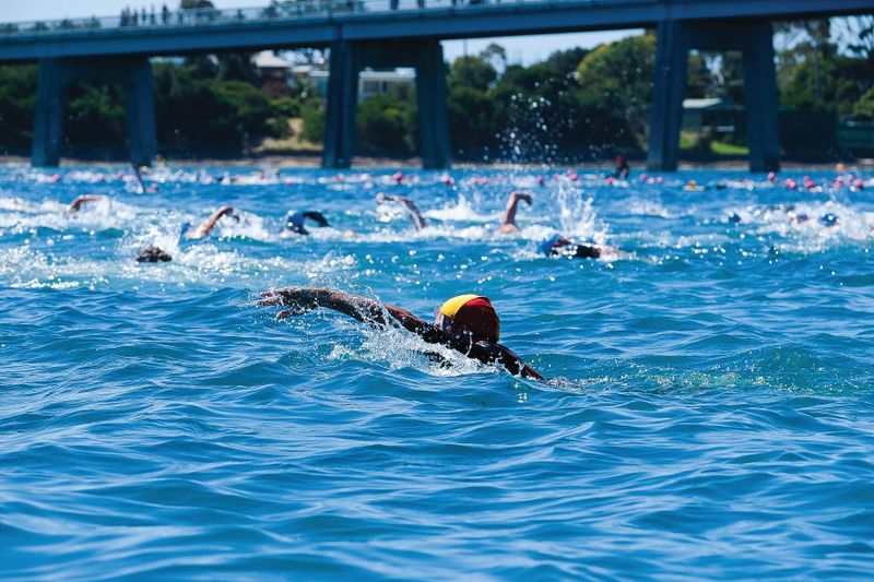 Back in the swim of it! post image