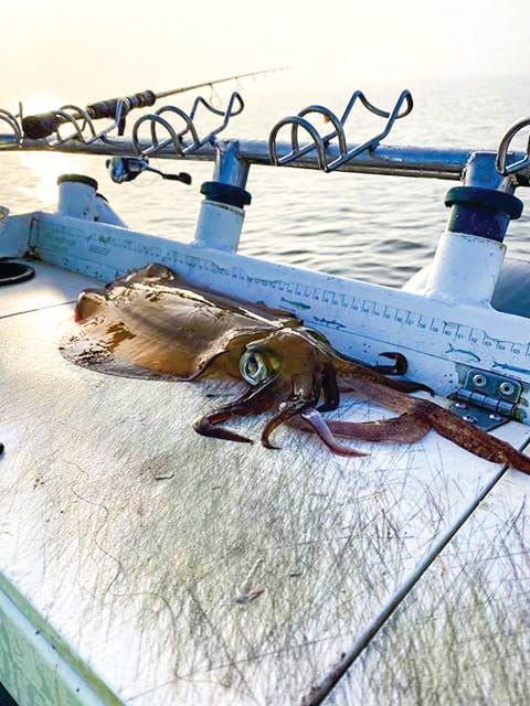 Around the Bay with Jim’s Bait & Tackle post image