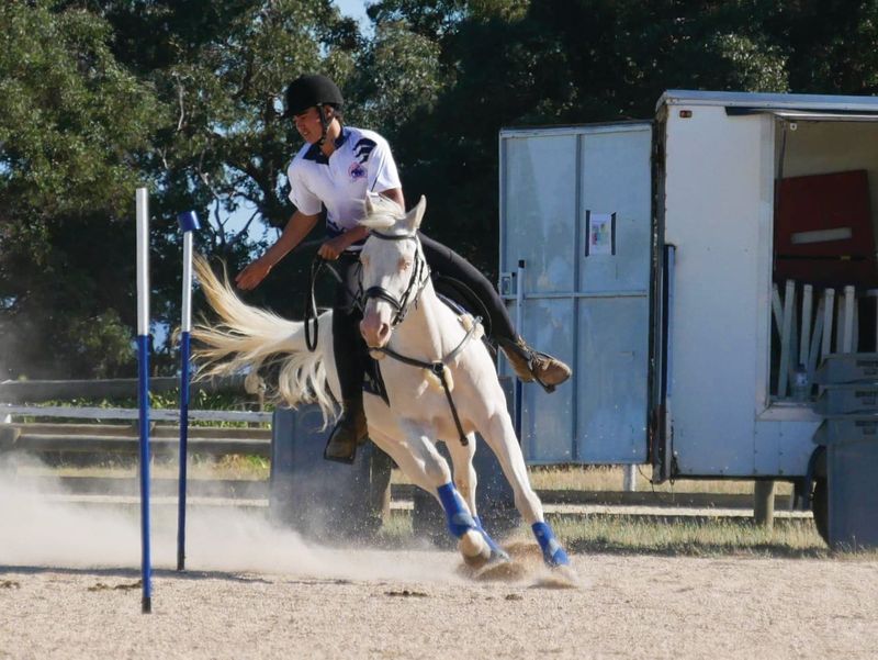 Helping hand for Gabe as he heads to national equestrian comps post image