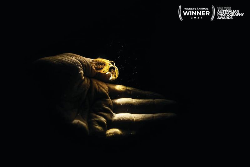San Remo photographer awarded top national gong post image