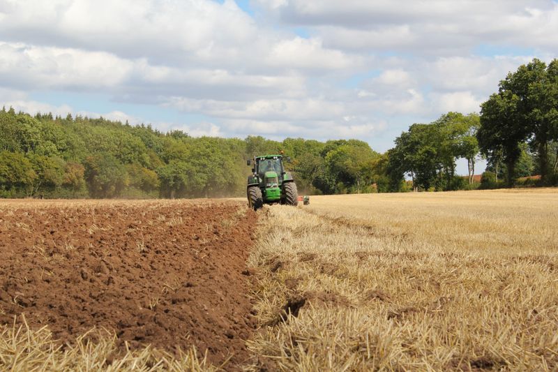 Developing a biosecurity plan for your farm post image