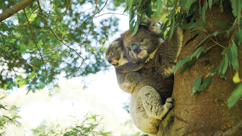 Nature Parks Board update – March 2022 post image