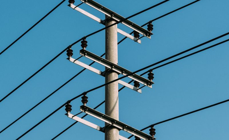 Power to the possum post image