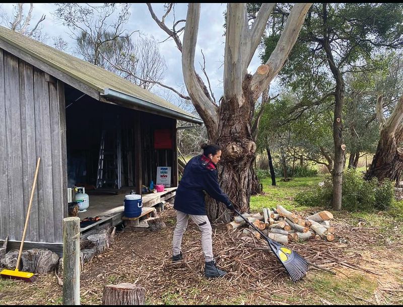 Christmas came early for Landcare groups post image