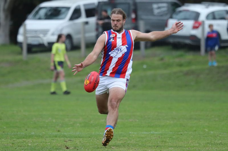 Magpies wings clipped by Bulldogs victory at the Daly - Seniors post image