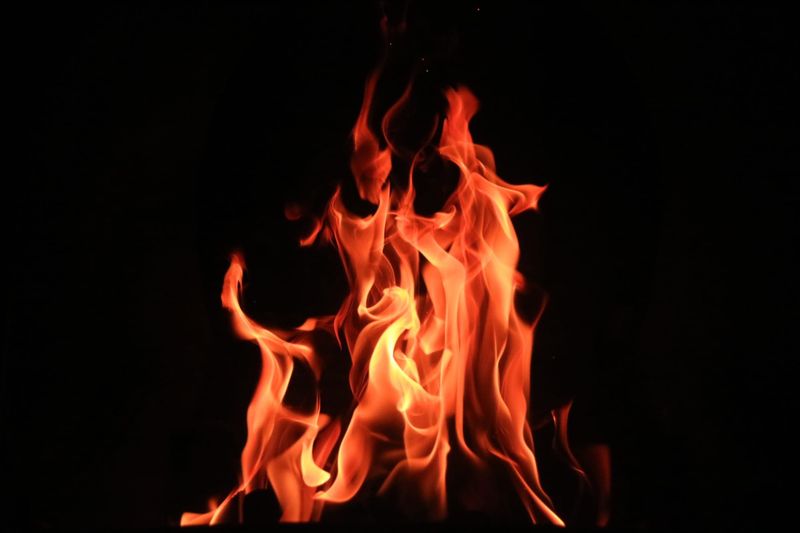 CFA encourages carers to prepare for the fire season post image