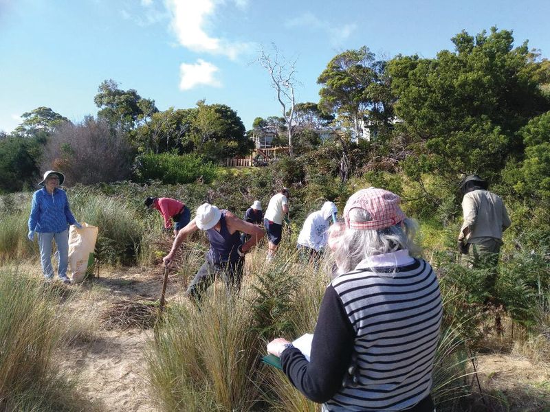 Petition against foreshore bike track post image