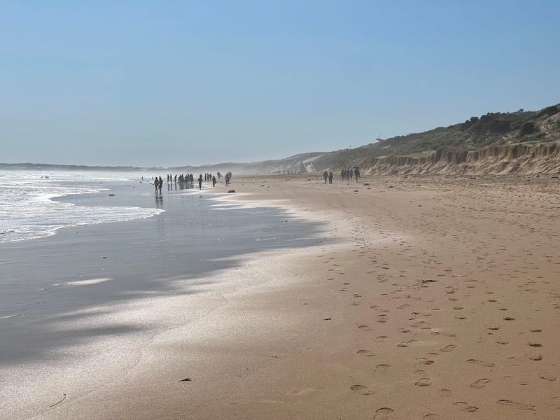 Surf rescue at Woolamai post image