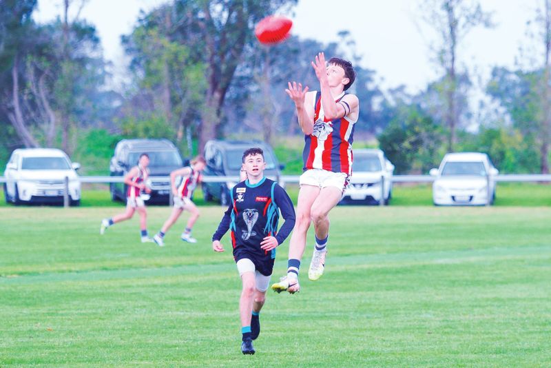 Bulldogs battle it out in bleak conditions post image