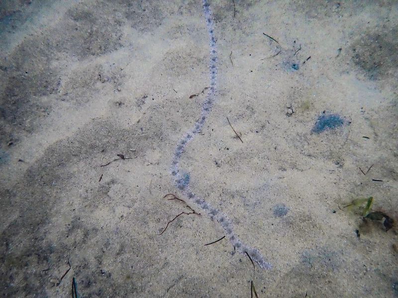 A worm’s-eye view post image