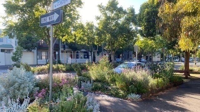 Trees, nature strips protected under new rules post image