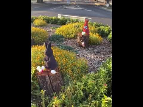 Happy ISO Easter post image