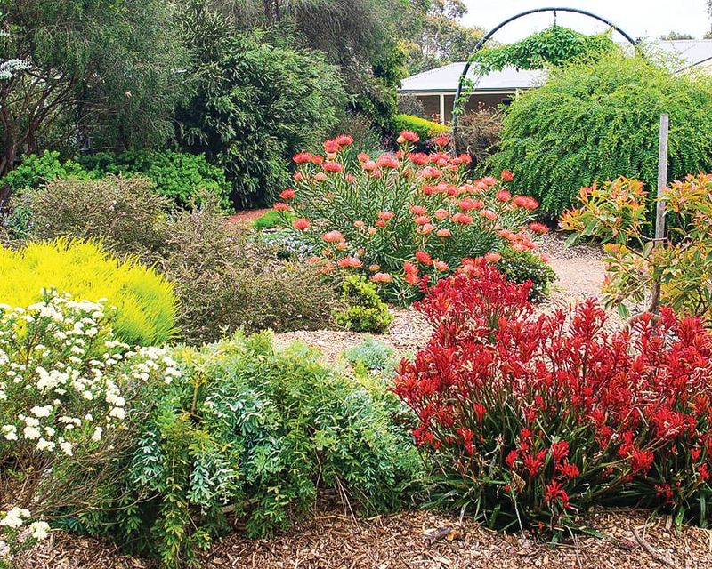Get into the garden post image