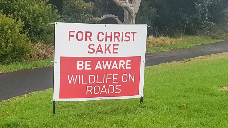 A Good Friday plea to drivers post image